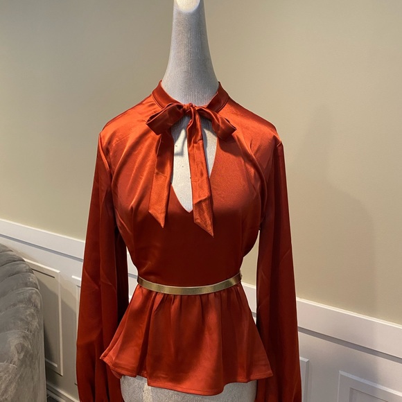 David Lerner NYC Necktie Blouse - Picture 5 of 7